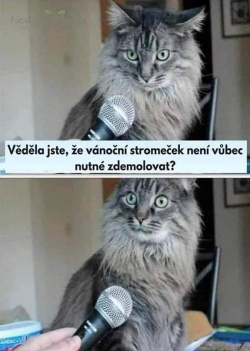 KwhRV8Wda97b894b8a82f15.png