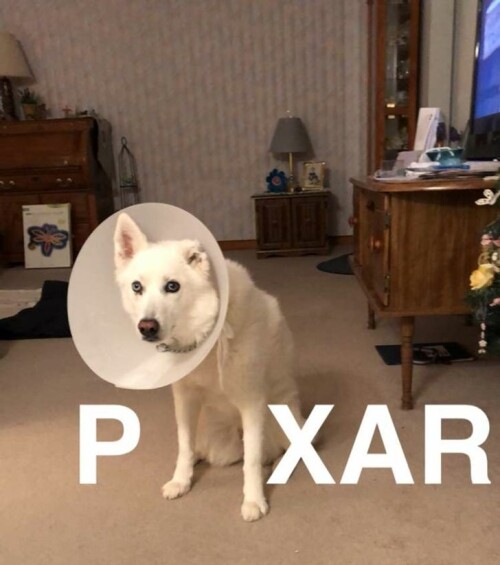 SvXBTjT.jpg