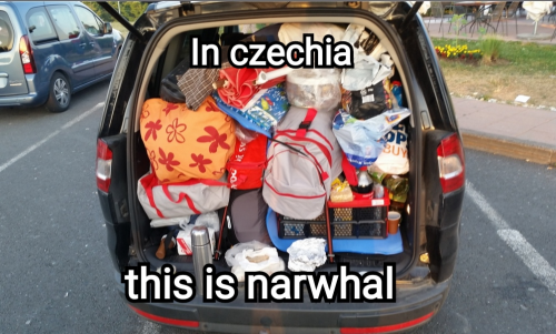 jDKWsGd3038150d4096e827.png