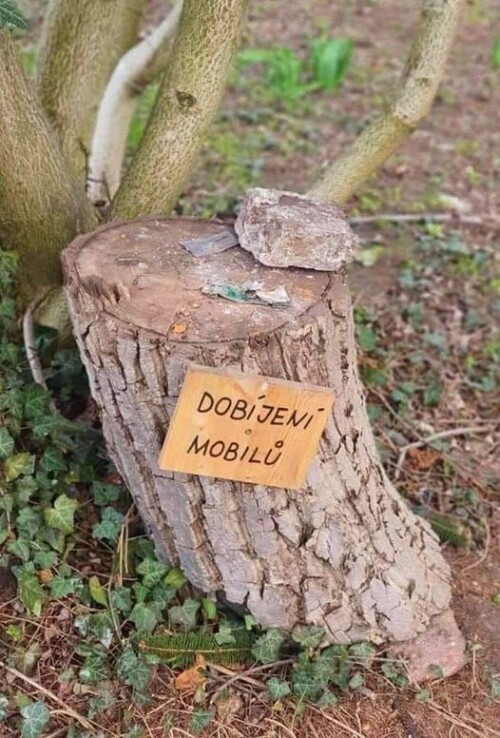 kmSKJtD.jpg
