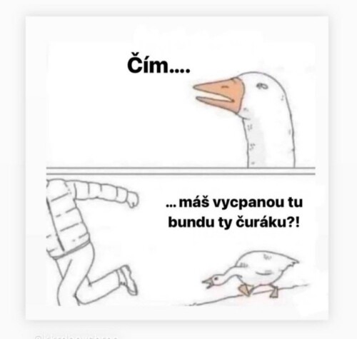 pyJXv4zc9c50e91b5231057.jpg