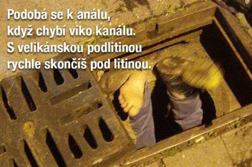 w6L7hHw23a714cfc818f8c6.png