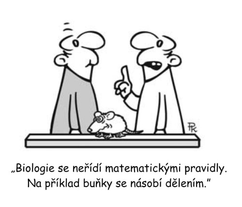 z2tWJbq.jpg